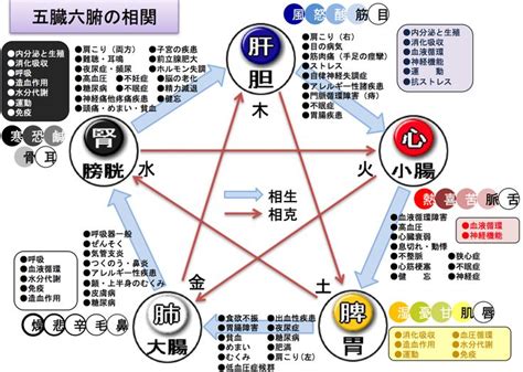 陰陽失調|陰陽失調 – 中医学アカデミー監修 中医学用語辞典